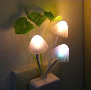 LED NIGHT LIGHT