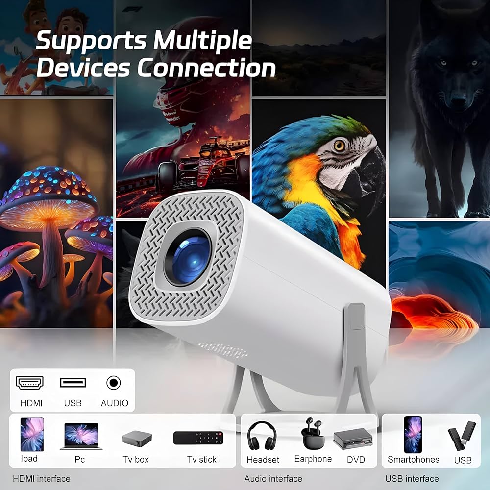 Portable Multimedia Projector