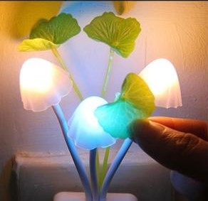 LED NIGHT LIGHT